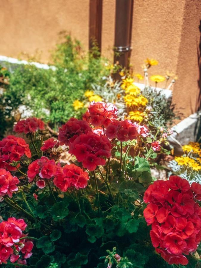 Agriturismo Santo Stefano كاسالبوردينو المظهر الخارجي الصورة